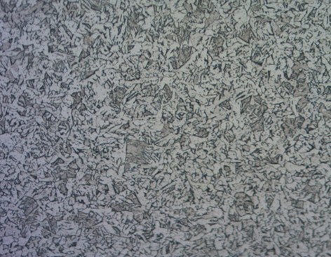 cfjx010.jpg