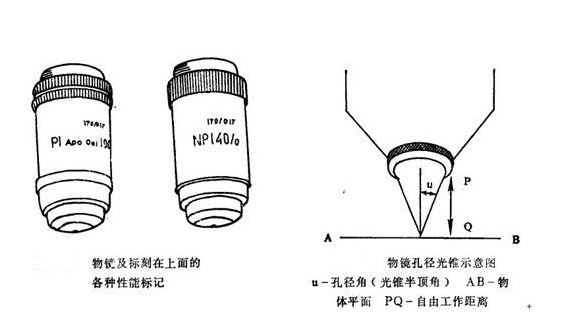 显微镜的数值孔径